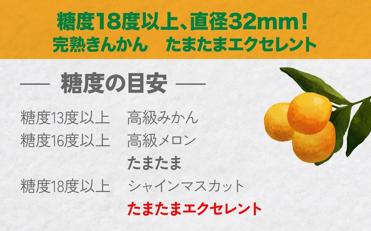 完熟きんかん たまたまエクセレント 1kg_Tk004-051