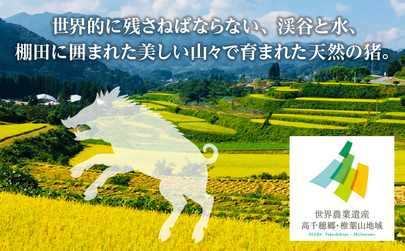 天然猪肉 スライス 700g 宮崎県高千穂町産 ジビエ | 天然 猪肉 いのしし ジビエ ジビエの王様 狩猟肉 獣肉 狩猟 加工済み 処理済み 高タンパク 焼肉 ぼたん鍋 BBQ キャンプ グランピング アウトドア お取り寄せグルメ グルメ 料理 おかず 冷凍 高千穂町産 宮崎県 高千穂町 |_Tk005-084