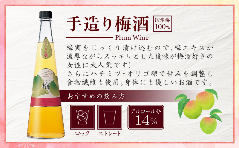 手造り梅酒 14% 720ml×2本セット | 梅酒 酒 アルコール 梅酒セット セット 詰め合わせ ロック ストレート 贈答 贈答用 ギフト プレゼント お祝い 祝い 内祝い 記念日 誕生日 お取り寄せ グルメ 家飲み 宅飲み 飲み会 国産 宮崎県 高千穂町 |_Tk007-028