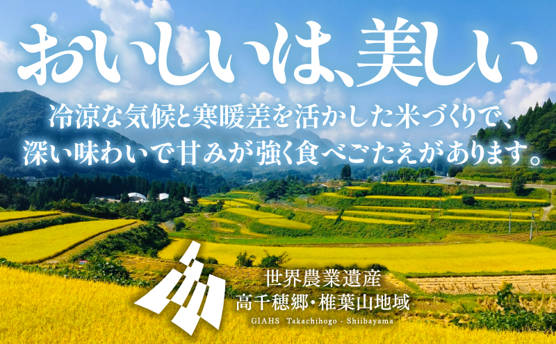 《令和7年産　新米》【12か月定期便】三ヶ所米の寅五郎米コシヒカリ60kg(5kg×1個 全12回)_Tk019-t040