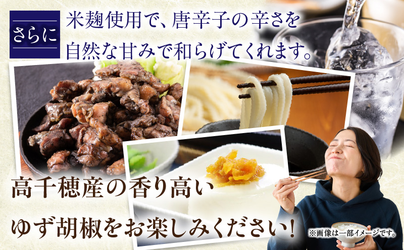 高千穂ゆず胡椒（辛）【米麹入り】3本セット | ゆず胡椒 食べるゆず胡椒 調味料 ゆず 胡椒 味変 調味 ゆずの香り 高千穂町産 宮崎県産 国産 焼き鳥 おでん 炭火焼き 地鶏 うどん そば サラダ 和え物 鍋 グルメ お取り寄せ おすすめ 宮崎県 高千穂町 | _Tk050-001