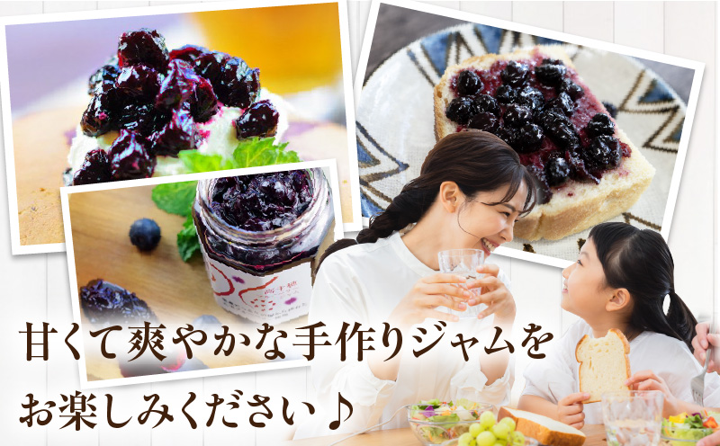 高千穂ブルーベリージャム3本セット | ブルーベリー フルーツ 果物 ジャム ジャムセット マーマレード 手作りジャム パン カナッペ 贈答 贈り物 ギフト 国産 宮崎県産 高千穂町産 特産品 グルメ お取り寄せ おすすめ 瓶 宮崎県 高千穂町 | _Tk050-005