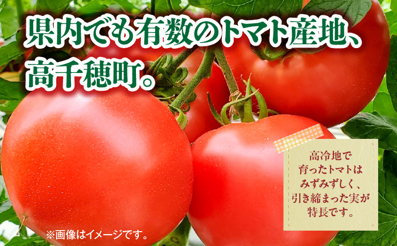 高千穂産完熟トマト使用 濃厚トマトソース3本セット | トマトソース ソース トマト 完熟トマト 完熟トマトソース セット 詰め合わせ 普段使い 使い勝手 小分け パウチ 料理 パスタ ピザ トースト グルメ お取り寄せ おすすめ 宮崎県 高千穂町 | _Tk050-009