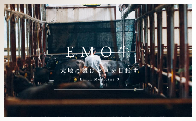 宮崎牛入有田ハンバーグ150g×5個と万能切落し500g 宮崎牛 和牛 黒毛和牛 国産牛 牛肉 ハンバーグ 牛100％ ハンバーグステーキ 切り落とし 切落し 万能切落し 霜降り 赤身 混在 有田牧畜 エモ―牛 ハンバーグセット セット商品 詰め合わせ 家族向け 家庭用 夕食 冷凍 小分け 500g 150g 食べ比べ 人気 TV紹介 ふるさと納税 返礼品 宮崎県 高千穂町_Tk055-002