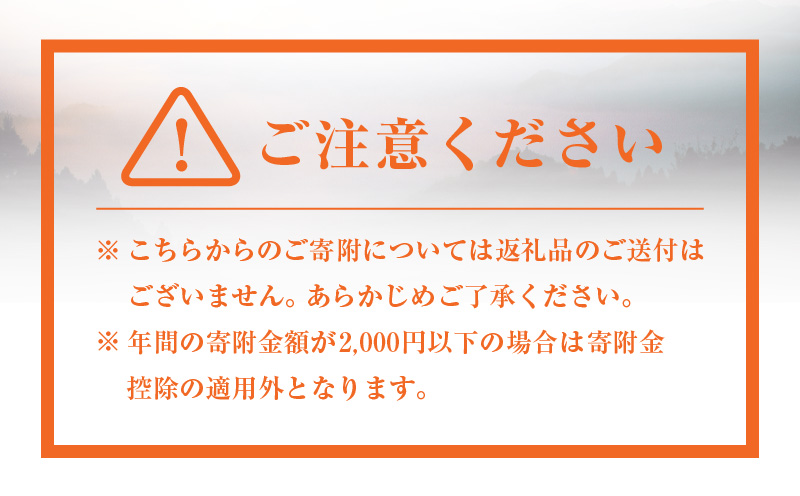 神話の里 高千穂町への応援寄附金【10,000円】（返礼品なし） 宮崎県 高千穂町_Tk001-014