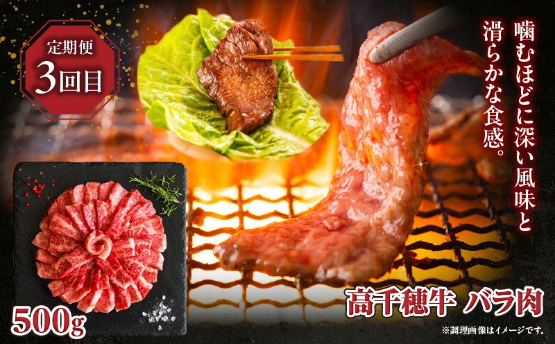【3か月定期便】高千穂牛煮込み料理3か月定期便| 高千穂牛 牛肉 肉 お肉 定期便 定期 国産牛 ブランド牛 和牛 すね肉 ロース スライス 煮込み カレー ビーフシチュー 国産 贈答 贈り物 普段使い |_Tk002-t086
