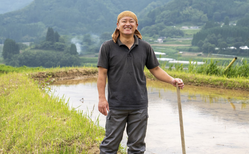 《令和7年産　新米》JA高千穂地区 ひのひかり10kg | 高千穂産 ひのひかり 10kg 5kg 2袋 米 お米 白米 ごはん 白飯 精米 ひのひかり 国産 宮崎県産  単一原料米 農作物 農産物 おすそ分け 普段使い 日常 炭水化物 主食 贈答 贈り物 ギフト プレゼント おすすめ 宮崎県 高千穂町 |_Tk004-047