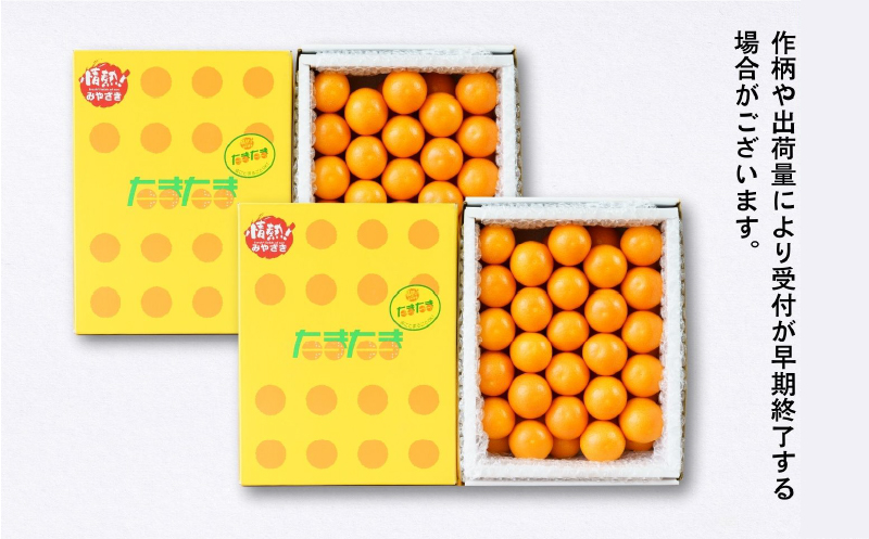 完熟きんかん たまたま 2kg | 果物 フルーツ デザート スイーツ きんかん きんかんたまたま 完熟 宮崎県産 国産 宮崎産 贈答 贈り物 ギフト プレゼント ブランド 柑橘 柑橘系 柑橘類 おやつ グルメ お取り寄せ 宮崎県 高千穂町 |_Tk004-050