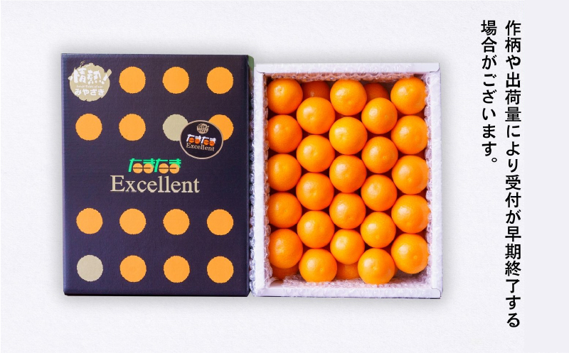 完熟きんかん たまたまエクセレント 1kg_Tk004-051