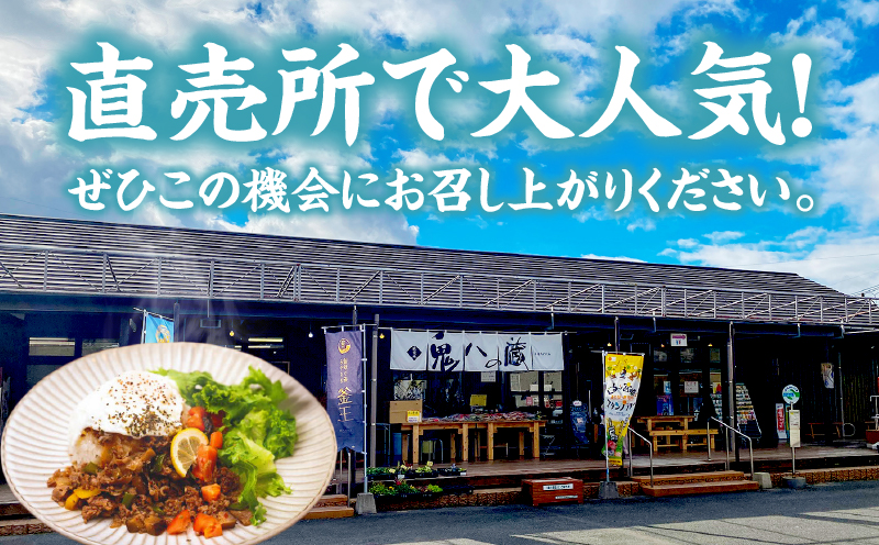 【カフェARIGATO監修】宮崎牛入り 高千穂ガパオライス_Tk005-101