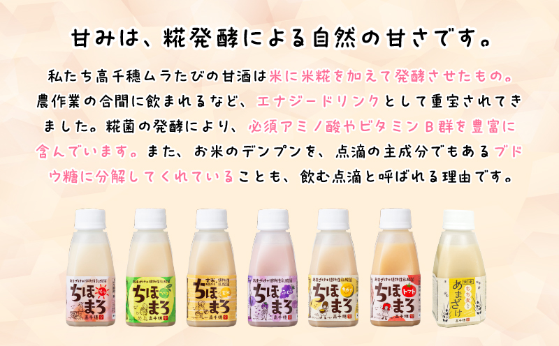 乳酸菌入りあまざけ ちほまろ 150g　12本セット【プレーン へべす 玄米】 | ノンアルコール 贈答 贈り物 おすそ分け 日課 ドリンク 飲み物 乳酸飲料 飲料 宮崎県 高千穂町 |_Tk015-017-b12