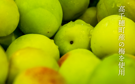 2020年春全国酒類コンクール リキュール部門第1位　熟成梅酒720ml　2本セット　宮崎県高千穂産梅使用 | 宮崎県高千穂産梅使用 お酒 アルコール 酒 梅 熟成梅酒 リキュール 晩酌 飲み会 宅飲み 家飲み ストレート 水割り 炭酸割り お湯割り お取り寄せ 国産 | _Tk023-013