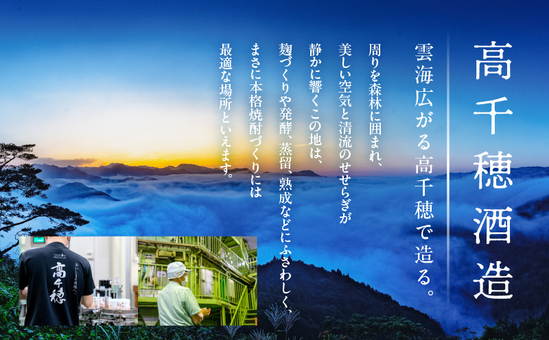 宮崎県産日向夏みかん使用 日向夏リキュール　500ml×2本 | 宮崎県産日向夏みかん使用 リキュール お酒 酒 アルコール フルーツ 日向夏 みかん 贈答 贈り物 ギフト プレゼント お歳暮 お中元 クリスマス 飲み会 宅飲み 誕生日 記念日 お祝い 内祝い | _Tk023-014-2