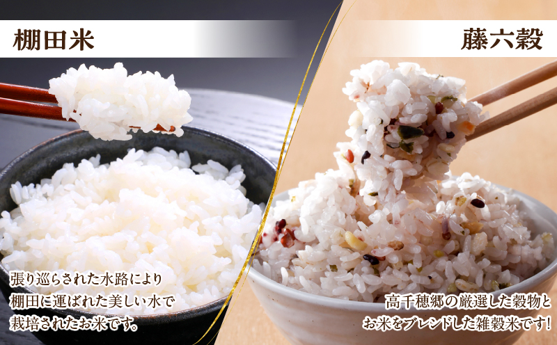 濃厚高千穂郷産緑茶のテリーヌと高千穂の恵みを味わうセット|濃厚 緑茶のテリーヌ テリーヌ お菓子 洋菓子 ホワイトチョコ チョコレート ハト麦 ハト麦茶 お茶 茶 釜炒り茶 藤六穀 お米 雑穀米 棚田米 ほうじ茶 手土産 お土産 菓子 デザート スイーツ 贈答 プレゼント ギフト 母の日 父の日 お祝い バレンタイン |_Tk028-010