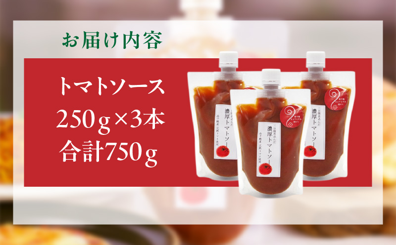 高千穂産完熟トマト使用 濃厚トマトソース3本セット | トマトソース ソース トマト 完熟トマト 完熟トマトソース セット 詰め合わせ 普段使い 使い勝手 小分け パウチ 料理 パスタ ピザ トースト グルメ お取り寄せ おすすめ 宮崎県 高千穂町 | _Tk050-009