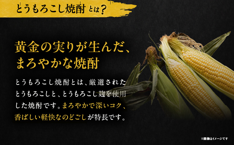 長期樫樽熟成焼酎『金銀財宝』一升瓶4本_Tk052-003