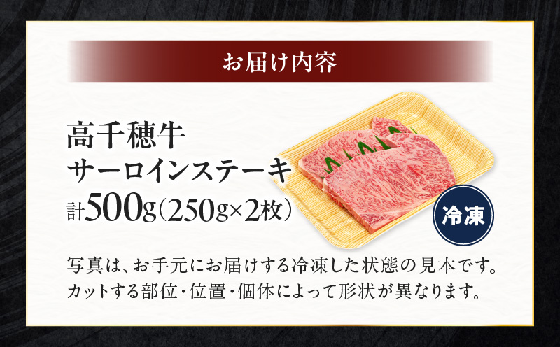 宮崎県産黒毛和牛A4等級以上 高千穂牛サーロインステーキ 250g×2枚 計500g|  牛肉 肉 お肉 サーロイン ステーキ ステーキ肉 ブランド牛 和牛 国産牛 国産黒毛和牛 贈り物 贈答 ギフト プレゼント お祝い 内祝い グルメ 記念日 |_Tk002-063