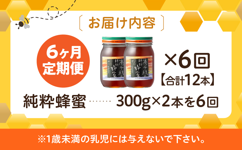 【6ヶ月定期便】日本みつばち 高千穂の純粋蜂蜜 300g×2本 セット |  瓶 蜂蜜 はちみつ ハチミツ 百花蜜 自然蜜100% 調味料  定期 はちみつセット 瓶 贈答 贈り物 ギフト プレゼント おすそ分け 普段使い セット 高千穂産 国産 |_Tk006-t019