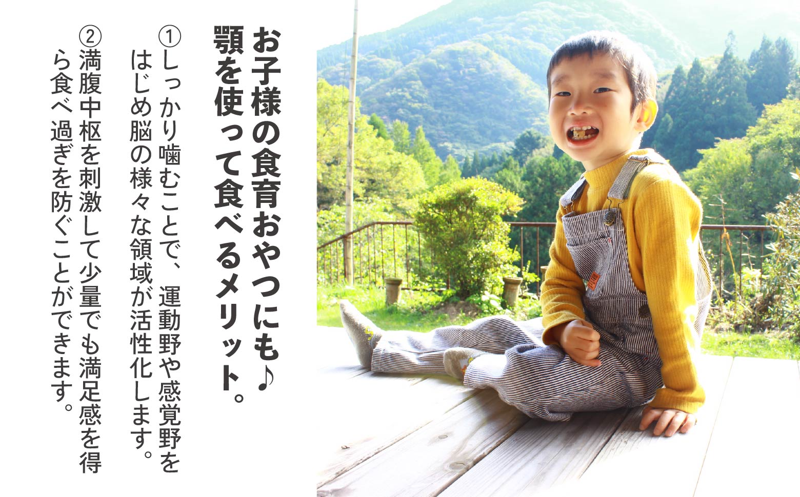 【A】プレーン・黒ゴマ 各8袋 おぬかさん 16袋セット | プレーン ごま グルテンフリー 無添加 無加糖 お菓子 菓子 おやつ 堅焼き 焼き菓子 スイーツ 一口サイズ 間食 おすそ分け グルメ お取り寄せ 宮崎県 高千穂町 |_Tk015-043-pg16