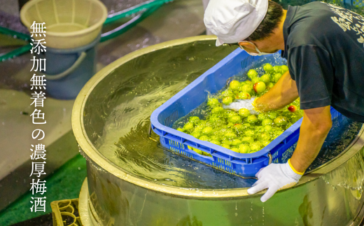 2020年春全国酒類コンクール リキュール部門第1位　熟成梅酒720ml　2本セット　宮崎県高千穂産梅使用 | 宮崎県高千穂産梅使用 お酒 アルコール 酒 梅 熟成梅酒 リキュール 晩酌 飲み会 宅飲み 家飲み ストレート 水割り 炭酸割り お湯割り お取り寄せ 国産 | _Tk023-013