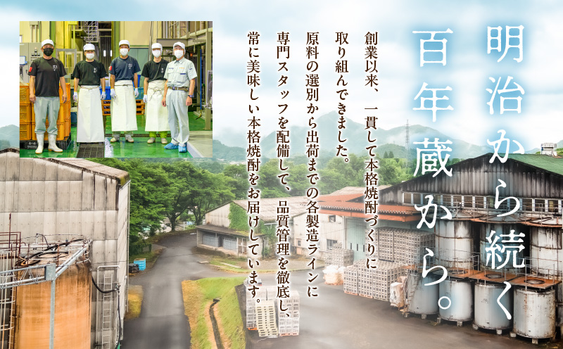 本格とうもろこし焼酎 太陽の微笑み 900ml／2本セット | 酒 お酒 アルコール 焼酎 とうもろこし 本格焼酎 贈答 贈り物 贈答品 ギフト プレゼント 還暦祝い 内祝い お祝い 誕生日 父の日 人気 おすすめ 男性 父親 上司 宮崎県 高千穂町 | _Tk023-030