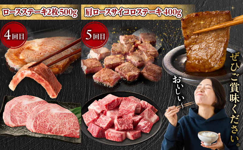 【5か月定期便】宮崎牛焼肉定期便 宮崎牛 牛肉 お肉 国産牛 ブランド牛 和牛 焼肉 スライス ステーキ サイコロステーキ ウデ焼肉 モモ焼肉 定期便 霜降り 贈答用 贈答 贈り物 プレゼント 記念日 誕生日 内祝い グルメ BBQ 焼き肉 アウトドア ミヤチク お祝い ホームパーティー おもてなし _Tk031-t029