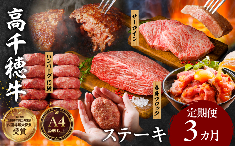 【3か月定期便】 高千穂牛ステーキ定期便| 牛肉 肉 お肉 サーロイン ステーキ 赤身 定期便 定期 国産牛 ブランド牛 和牛 ハンバーグ 国産 贈答 贈り物 簡単調理 おかず 普段使い |_Tk002-t083