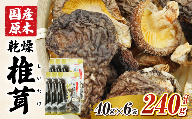 乾燥しいたけ 40g×6袋 240g | 椎茸 小分け パック 小袋 個包装 個別包装 出汁取り 使い切り 使い勝手 普段使い お吸い物 きのこ キノコ類 干ししいたけ 乾しいたけ 原木栽培 乾燥しいたけ 常温 グルメ お取り寄せ おすすめ 宮崎県 高千穂町 |_Tk004-039