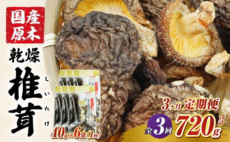 【3ヶ月定期便】 乾燥しいたけ 240g（40g×6袋）×3回 720g | しいたけ 定期便 定期 定期的 国産 宮崎県産 原木 栽培 干し椎茸 原木椎茸 国産しいたけ 小分け 袋 小袋 普段使い 使い勝手 使い切り 肉厚 旨み 香り グルメ お取り寄せ 宮崎県 高千穂町 |_Tk004-t042