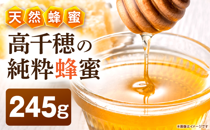 日本みつばち 高千穂の純粋蜂蜜 245g×1本|蜂蜜 はちみつ 日本みつばち 純粋蜂蜜 国産蜂蜜 天然蜂蜜 垂れ蜜 蜜蜂 希少 蜂蜜 濃厚 花 伝統製法 特産品 ふるさと納税 返礼品 宮崎県 高千穂町 | _Tk005-099-2451