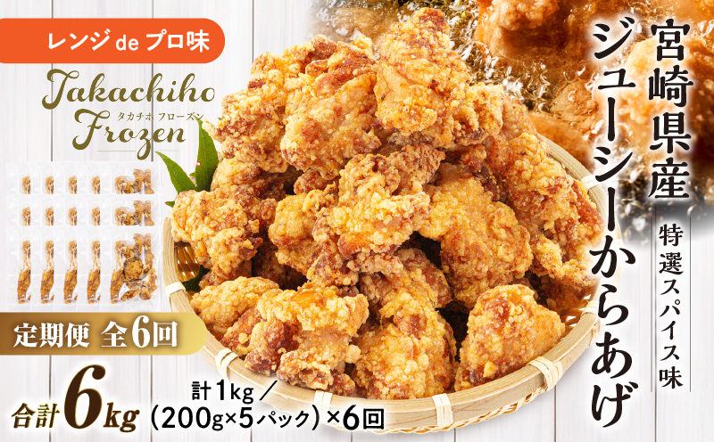 【6か月定期便】レンジでプロ味！からあげ6か月定期便_Tk005-t044