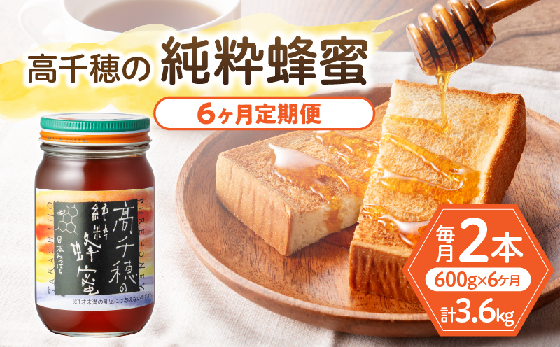 【6ヶ月定期便】日本みつばち 高千穂の純粋蜂蜜 300g×2本 セット |  瓶 蜂蜜 はちみつ ハチミツ 百花蜜 自然蜜100% 調味料  定期 はちみつセット 瓶 贈答 贈り物 ギフト プレゼント おすそ分け 普段使い セット 高千穂産 国産 |_Tk006-t019