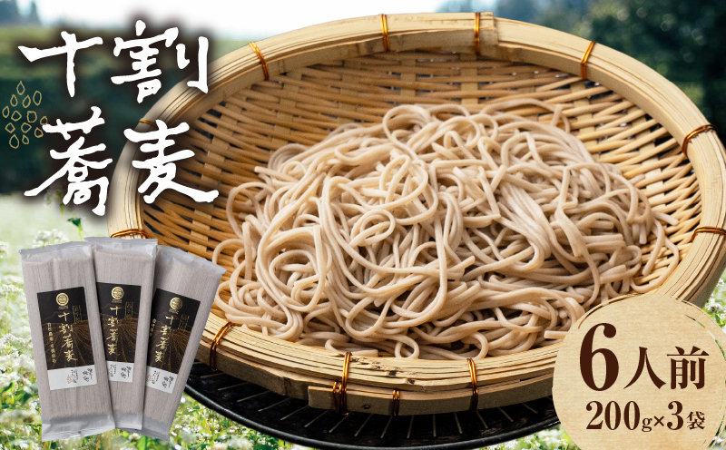 【国産乾そば6人前】そば 高千穂 有機栽培 10割蕎麦 200g×3袋 600g | 蕎麦 十割 10割 国産 高千穂町産 乾麺 乾蕎麦 お蕎麦 贈答 贈り物 ギフト プレゼント 手土産 備蓄 保存食 おもてなし 年越し 年越しそば グルメ お取り寄せ おすすめ ご当地 宮崎県 高千穂町 | _Tk033-014