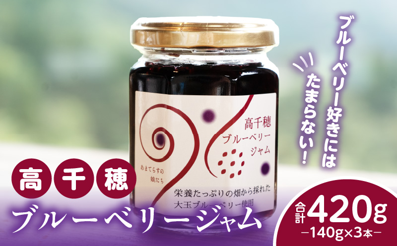 高千穂ブルーベリージャム3本セット | ブルーベリー フルーツ 果物 ジャム ジャムセット マーマレード 手作りジャム パン カナッペ 贈答 贈り物 ギフト 国産 宮崎県産 高千穂町産 特産品 グルメ お取り寄せ おすすめ 瓶 宮崎県 高千穂町 | _Tk050-005