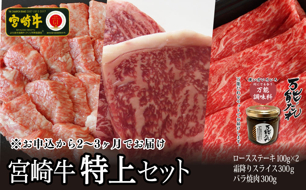 宮崎牛 特上セット800g 万能だれ付き_Tk024-004