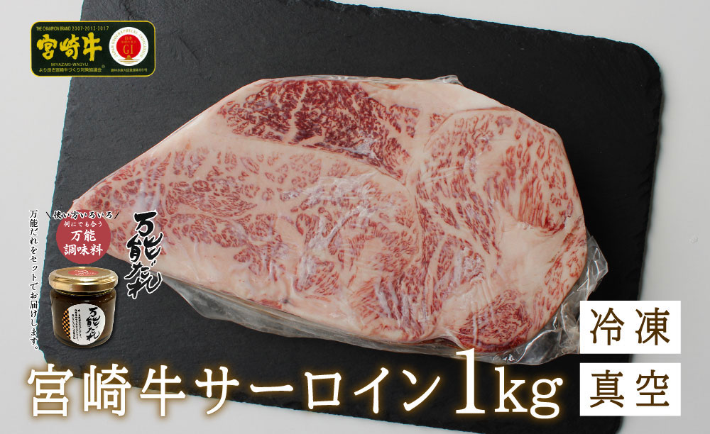 宮崎牛 サーロインブロック1kg 万能だれ付き_Tk024-008