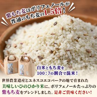 ＜ 新米 ・ 令和7年産 ＞宮崎県日之影町産 もち麦米 (900g×5袋) 数量限定 紫もち麦 ヒノヒカリ 米 精米 国産 小分け 【AF001】【株式会社ひのかげアグリファーム】