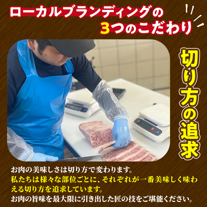 宮崎牛 サーロインステーキ(計400g・2枚) 希少部位 BBQ 牛肉 肉 ブランド牛  冷凍 国産 精肉 お取り寄せ 黒毛和牛 宮崎県 【LJ015】【ローカルブランディング株式会社】