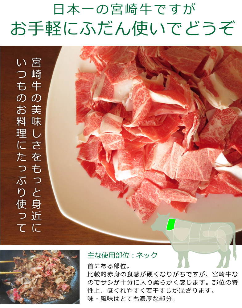 宮崎牛 牛こま(計2kg・200g×10) 牛肉 精肉 お肉 黒毛和牛 ブランド和牛 お取り寄せ 冷凍 国産 宮崎県 【MS020】【株式会社マルミヤストア】