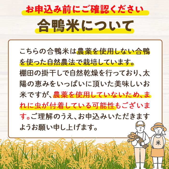 ＜ 新米 ・ 令和7年産 ＞＜数量限定＞ 合鴨 米 (5kg×2袋) 白米 精米 国産 ご飯 アイガモ 合鴨農法 10kg お米 ごはん【MU027】【日之影町村おこし総合産業(株)】