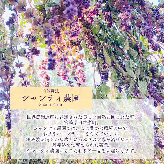 シャンティ農園セット(合計240g・3種) お茶 茶 茶葉 釜炒り茶 緑茶 玄米茶 バジル ホーリーバジル 無農薬 無肥料 ノンカフェイン 【MU033】【村おこし総合産業】