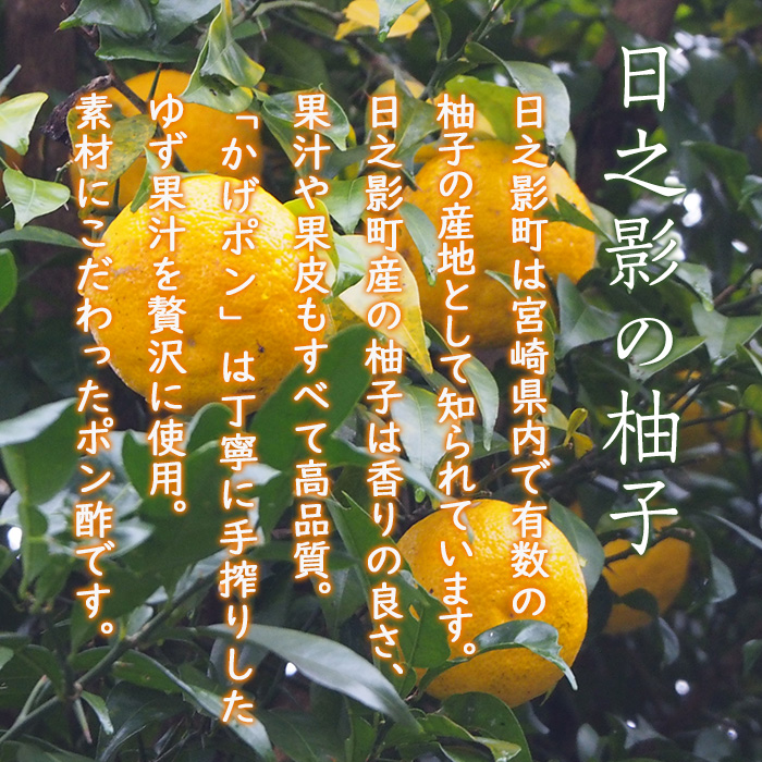 ゆずポン酢 かげポン(300ml×2本) 柚子 ユズ ポン酢 ぽんず 調味料 酢 タレ 日之影町 【TT008】【一般社団法人ツーリズム高千穂郷】