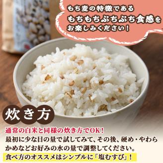 ＜ 新米 ・ 令和7年産 ＞宮崎県日之影町産 もち麦米 (900g×5袋) 数量限定 紫もち麦 ヒノヒカリ 米 精米 国産 小分け 【AF001】【株式会社ひのかげアグリファーム】