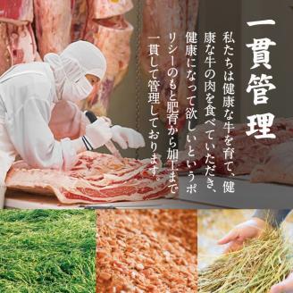 宮崎黒毛和牛焼肉セット(ロース・カルビ各300g)国産 宮崎県産 黒毛和牛 ロース カルビ 焼肉 霜降り 和牛 有田牛【AR005】【(有)有田牧畜産業 食肉加工センター】