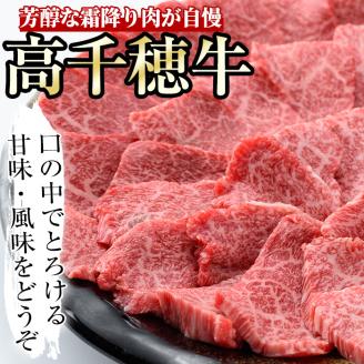 高千穂牛 ウデ焼き肉(500g)国産 宮崎県産 宮崎牛 牛肉 焼肉 ウデ肉 霜降り A4 和牛 ブランド牛  【MT001】【JAみやざき 高千穂牛ミートセンター】