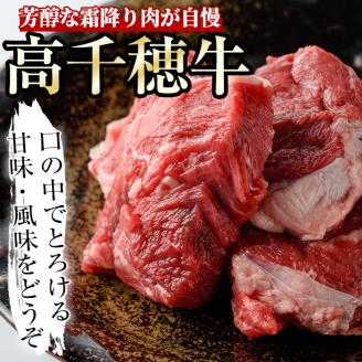 高千穂牛 すね肉(計800g・400g×2P)国産 宮崎県産 宮崎牛 牛肉  スネ肉 煮込み料理 霜降り A4 和牛 ブランド牛【MT003】【JAみやざき 高千穂牛ミートセンター】