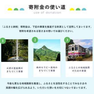 ≪返礼品なし・1,000円≫宮崎県日之影町への寄附【日之影町】【HN001】