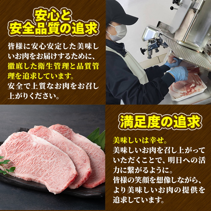 宮崎牛 サーロインステーキ(計400g・2枚) 希少部位 BBQ 牛肉 肉 ブランド牛  冷凍 国産 精肉 お取り寄せ 黒毛和牛 宮崎県 【LJ015】【ローカルブランディング株式会社】