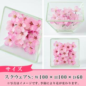 ボトルフラワー スクウェア(S)花 お花 フラワー インテリア【AT003】【ボトルフラワーatelier4-flowers】