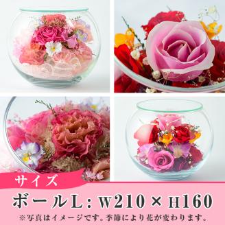 ボトルフラワー ボール (L) 花 フラワー インテリア【AT008】【ボトルフラワーatelier4-flowers】